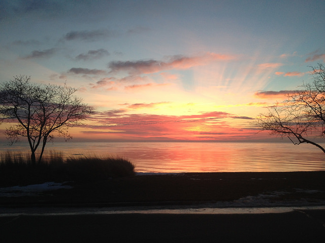 32696459402_58df8a2876_z