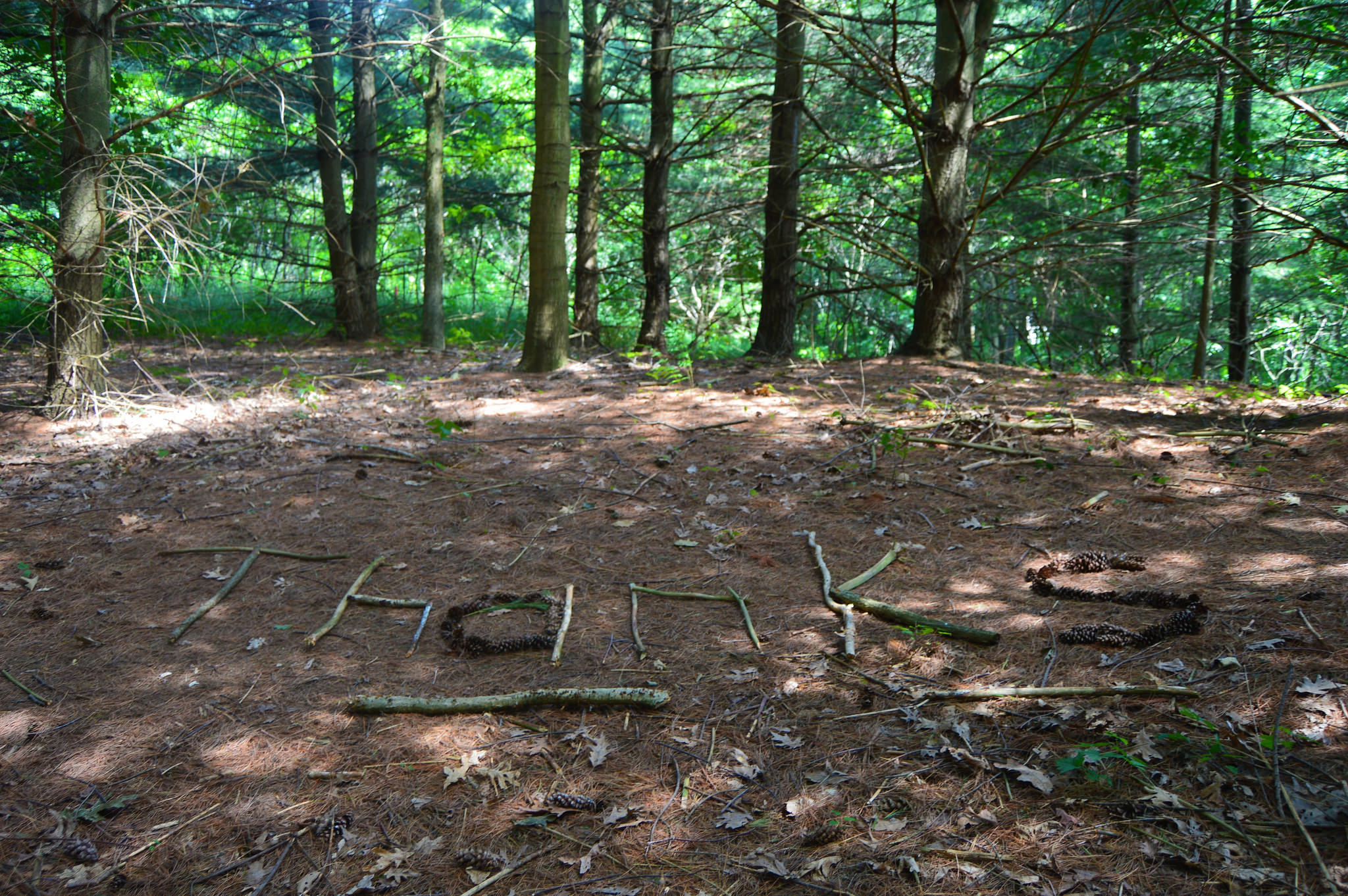 27891858370_fc931d7ce5_k